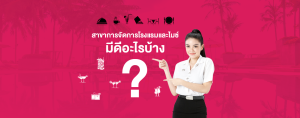 สาขาการจัดการโรงแรมและไมซ์ มีดีอะไรบ้าง?