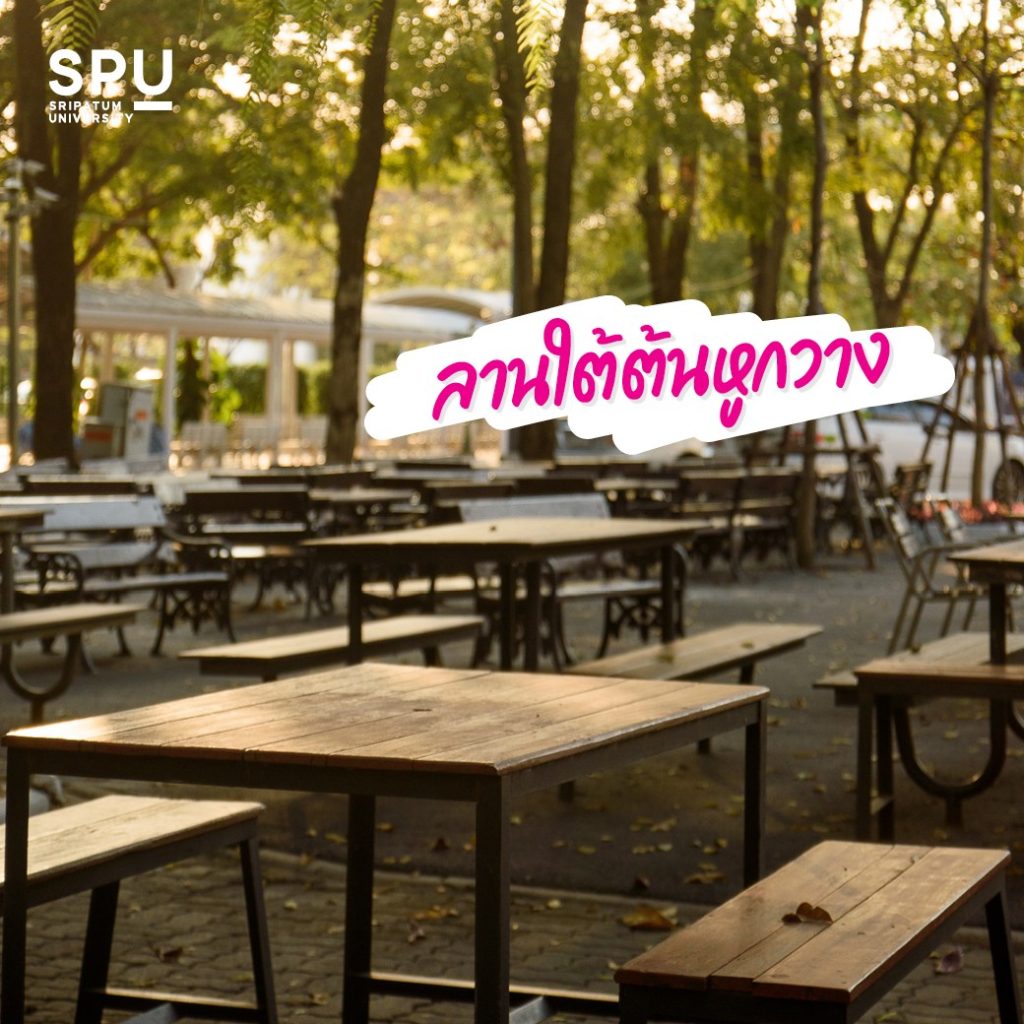 Review ทุกเรื่องของการเรียนสาขาเทคโนโลยีสารสนเทศและการสื่อสาร By พี่พีช ฐนกร โป๊วประยูร