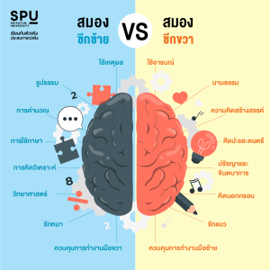 มาค้นหาพรสวรรค์ที่ซ่อนเร้น! ผ่านแบบทดสอบความถนัด “สมองซีกซ้าย-ขวา ...