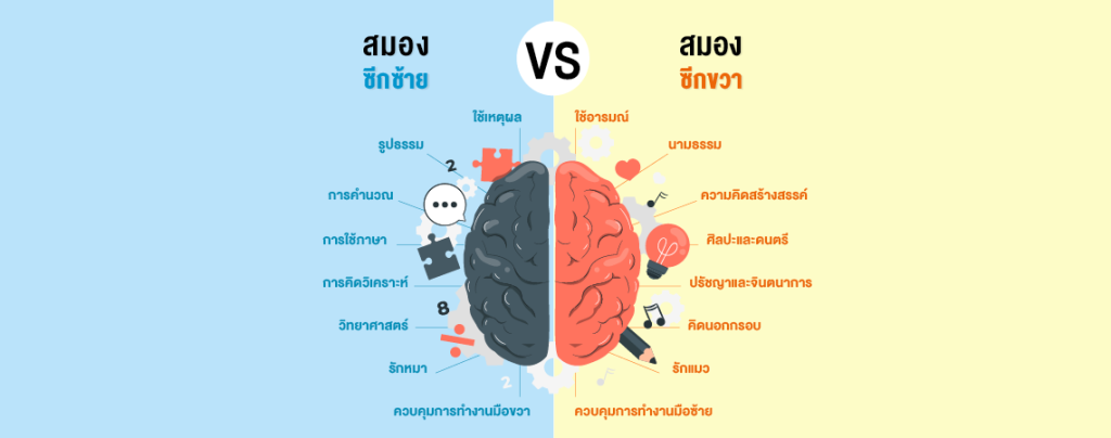 ค้นหาพรสวรรค์ที่ซ่อนเร้น!! ผ่านแบบทดสอบความถนัด “สมองซีกซ้าย-ขวา”