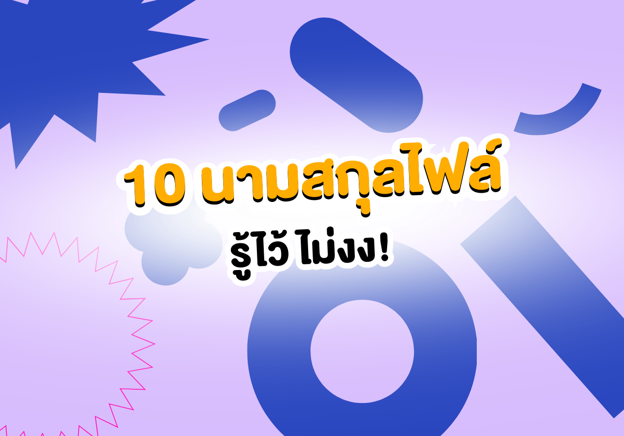 สรุป 10 นามสกุลไฟล์ยอดฮิต รู้ไว้ไม่มีงง งานไหนใช้ไฟล์อะไรมาดู! 📂✨