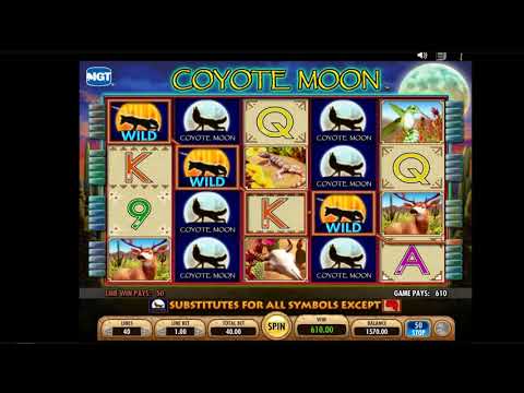 casino Sharky