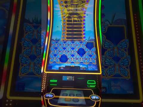 spin rise casino canada