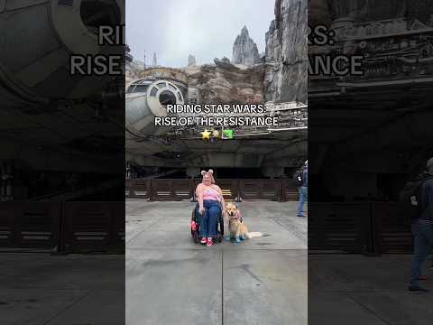 rise spin market