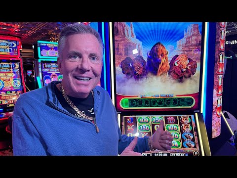melbet free bet