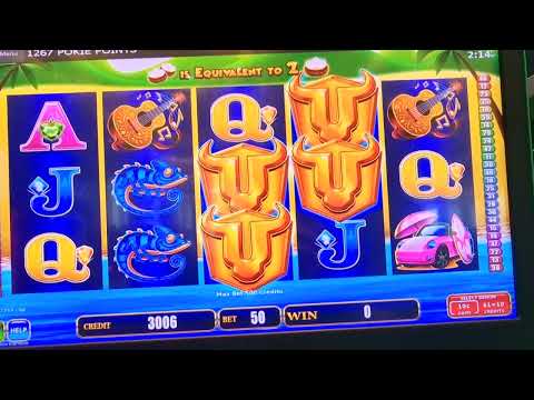 melbet and 1xbet