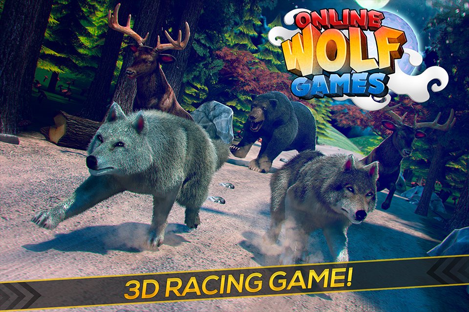 wild games emplacement vidéo