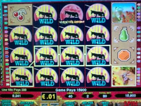 casino Book Of Ra Deluxe Bingo