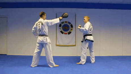 spin rise spin tutorial