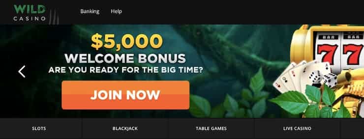 Xon bet login registration