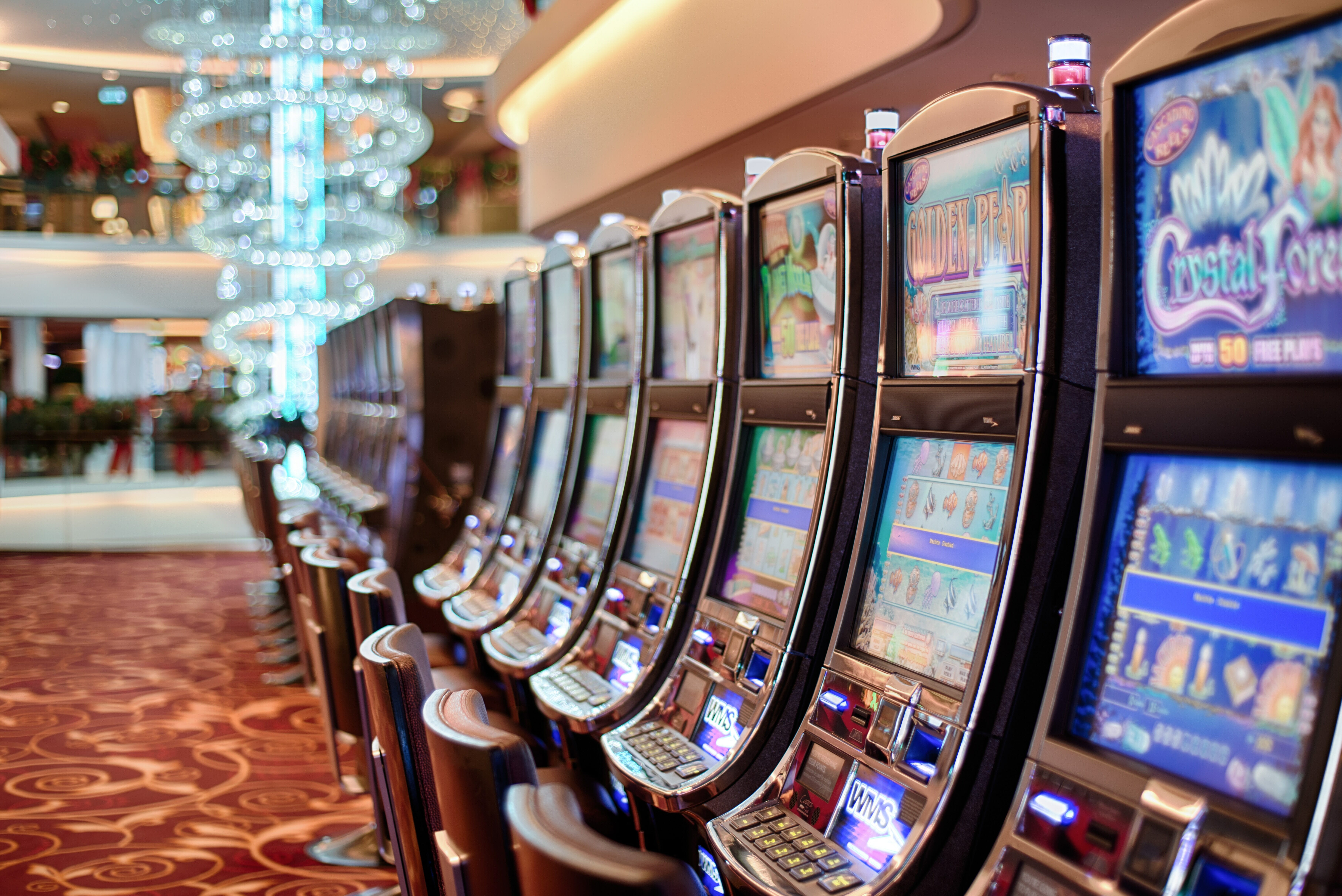 no deposit bonus grand bay casino