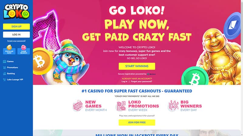 Xon bet login online