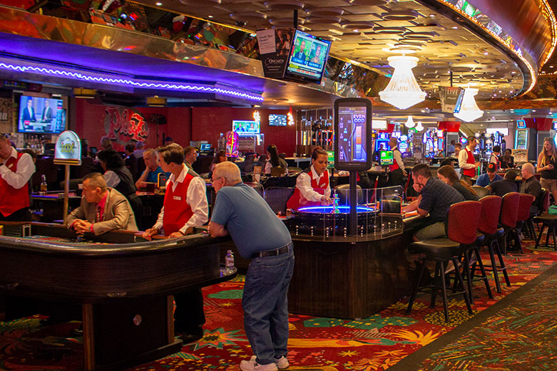 Cats Rtp slot bonus