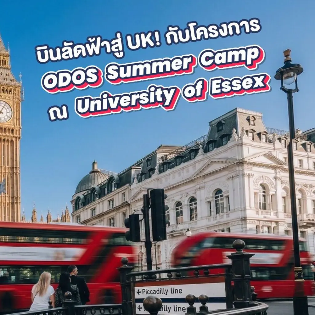 649113774 1377691554162131 7596206577138301748 n