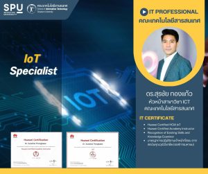 20230310135147TJ5ywHO IT Professional