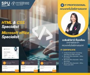 20230310135259uCjXuPR IT Professional