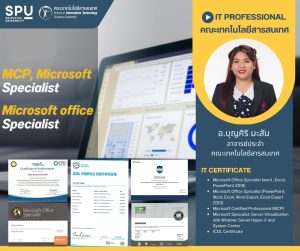 20230310135324r5AfcVg IT Professional