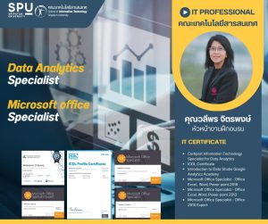 202303101354198yLxOB7 IT Professional