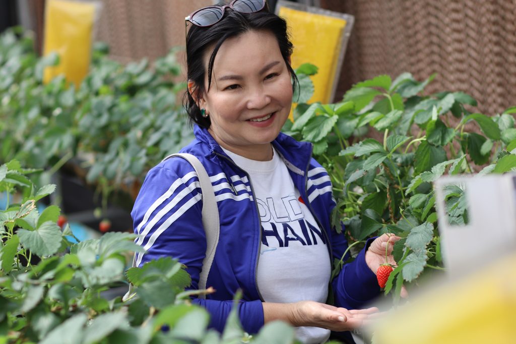 หลักสูตร Cold Chain ศึกษาดูงาน ณ เนรมิตเกษตร Smart Farming 4