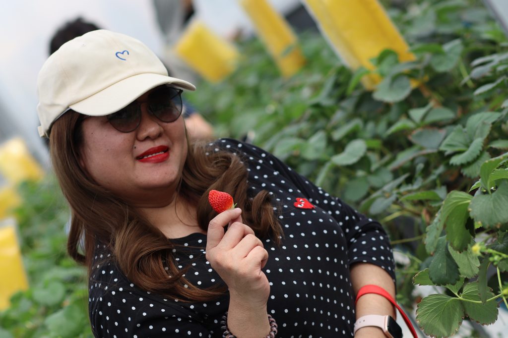 หลักสูตร Cold Chain ศึกษาดูงาน ณ เนรมิตเกษตร Smart Farming 5