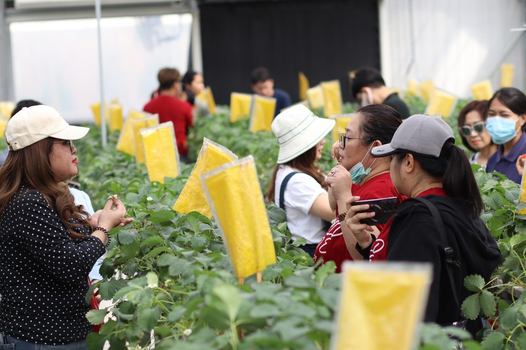 หลักสูตร Cold Chain ศึกษาดูงาน ณ เนรมิตเกษตร Smart Farming 9