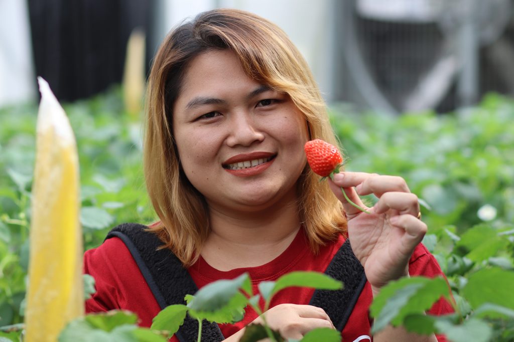 หลักสูตร Cold Chain ศึกษาดูงาน ณ เนรมิตเกษตร Smart Farming 11
