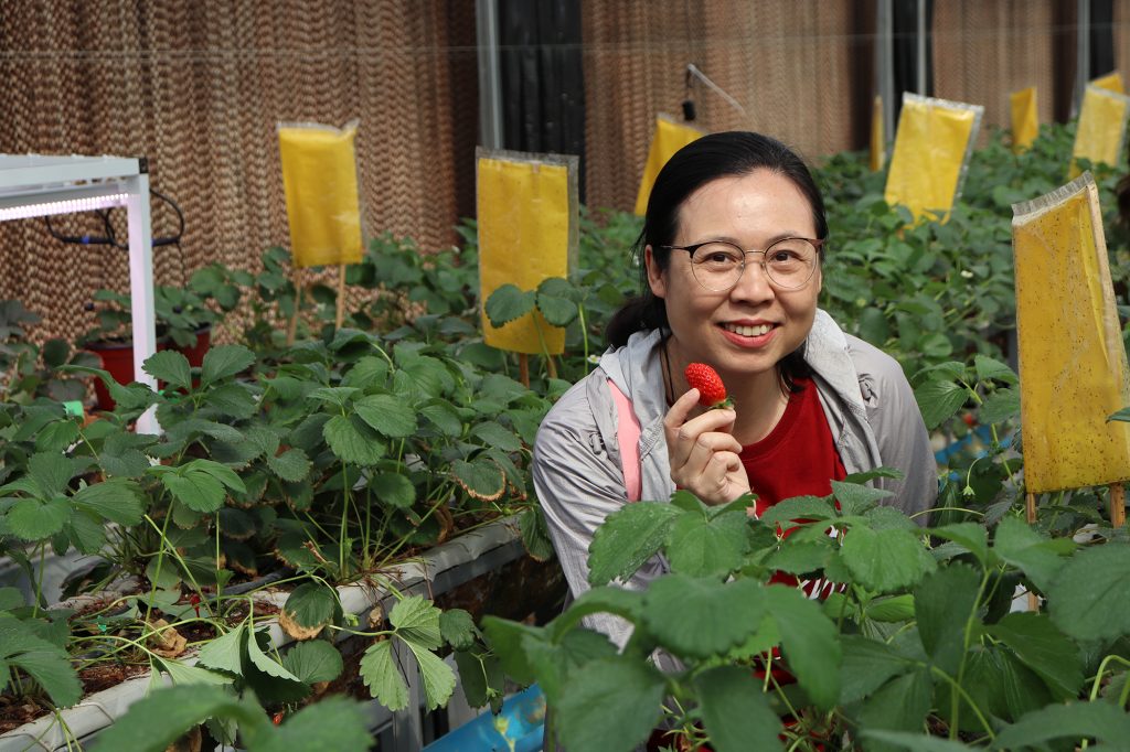 หลักสูตร Cold Chain ศึกษาดูงาน ณ เนรมิตเกษตร Smart Farming 15