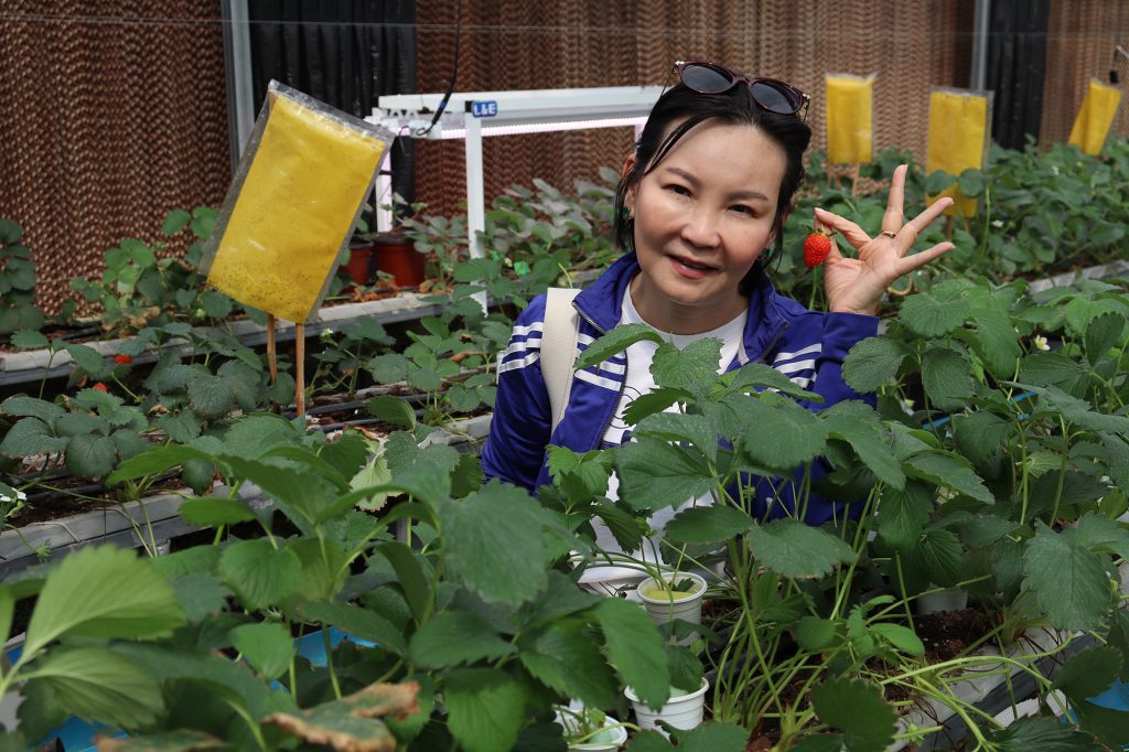 หลักสูตร Cold Chain ศึกษาดูงาน ณ เนรมิตเกษตร Smart Farming 16