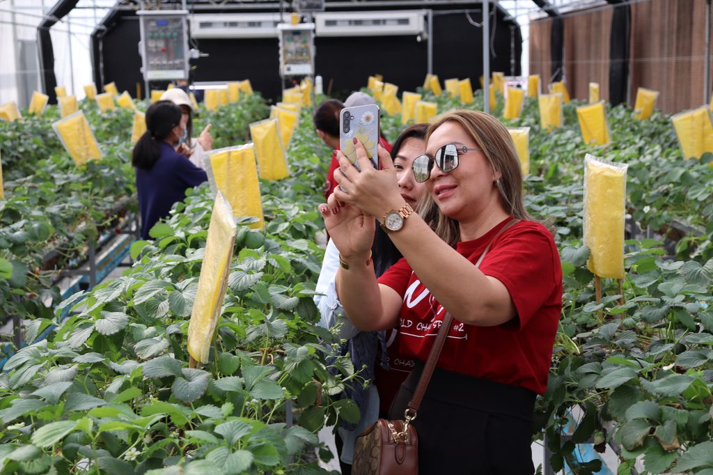 หลักสูตร Cold Chain ศึกษาดูงาน ณ เนรมิตเกษตร Smart Farming 19