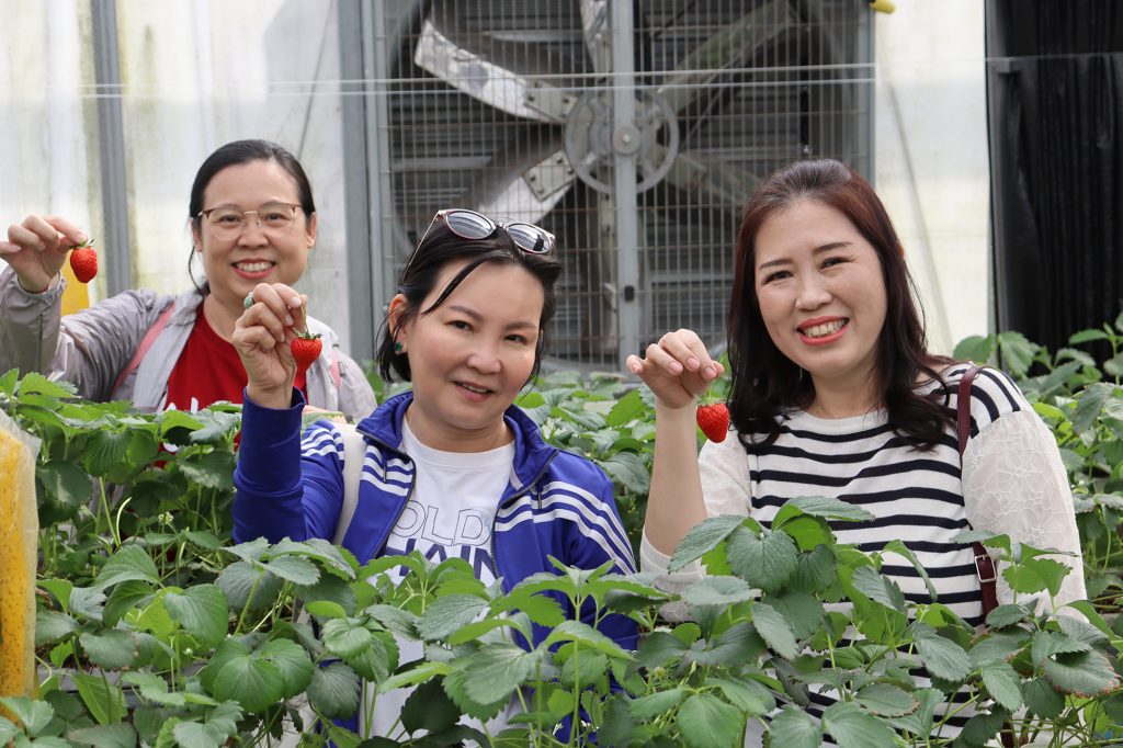 หลักสูตร Cold Chain ศึกษาดูงาน ณ เนรมิตเกษตร Smart Farming 20
