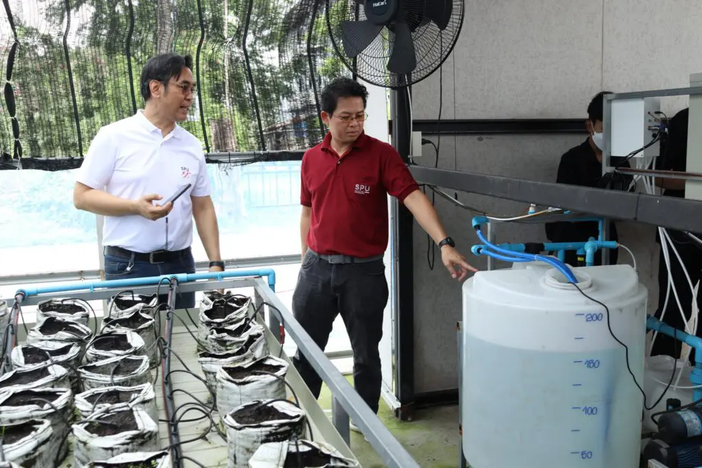 543526424 1329262972324723 1992536534604398384 n