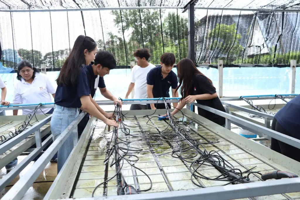 543554744 1329263352324685 3621618251081933764 n