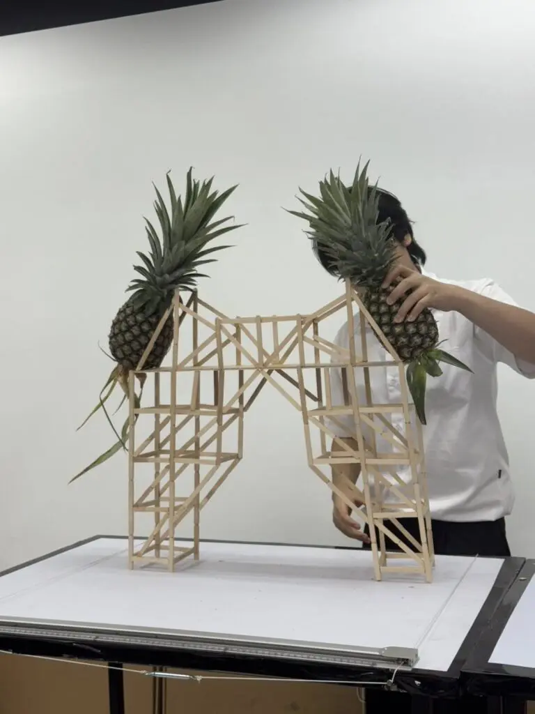 574068318 1267043165460232 4668858601660041937 n