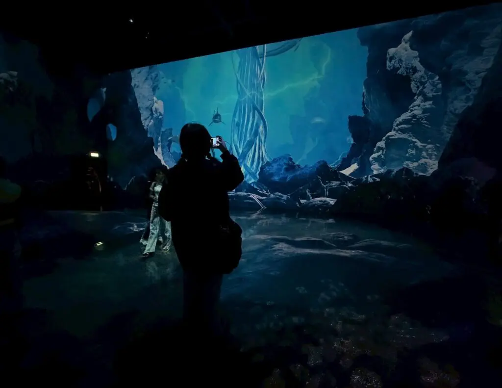 566999881 18490660954078948 4804779551763164567 n