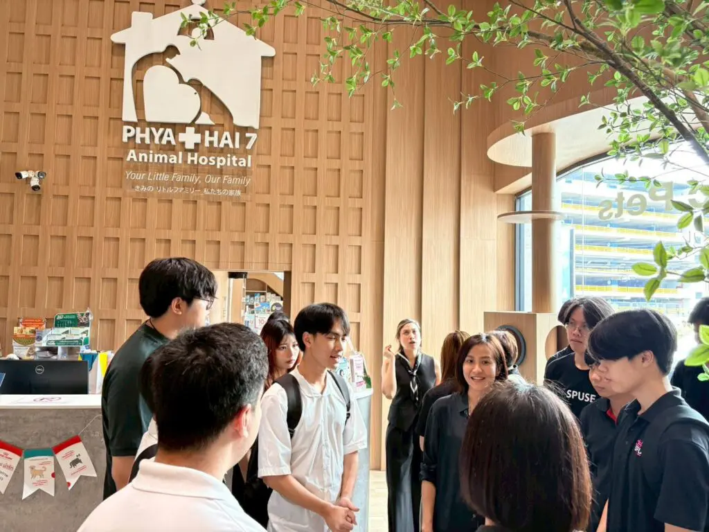 576387597 1271031158375362 2151671052066998704 n