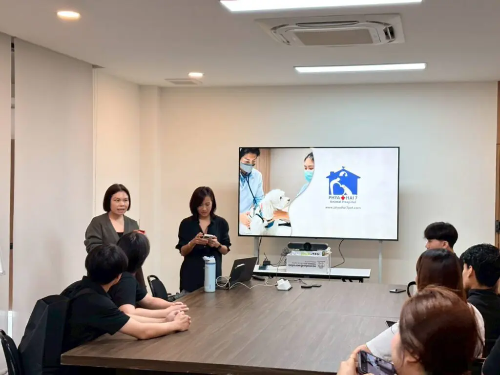 576464184 1271030675042077 4639475388442697495 n