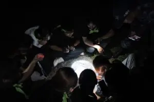 592356987 1276253901195549 2132133256311571626 n