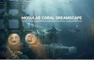 MODULAR CORAL DREAMSCAPE