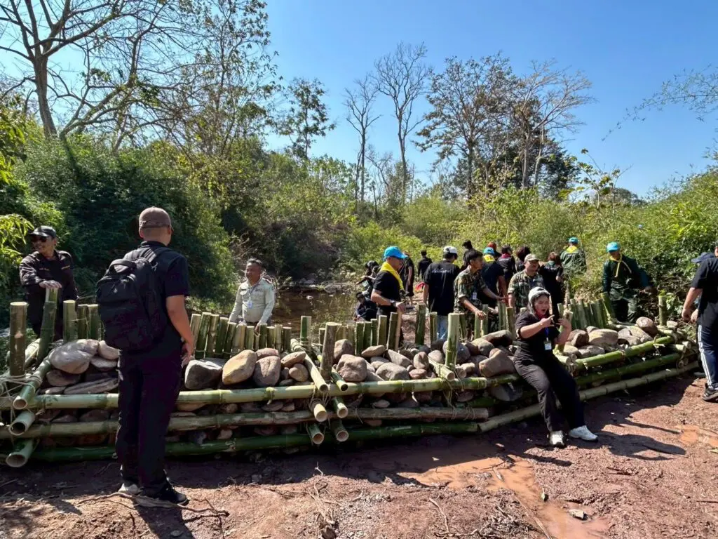 626753473 26160097260260921 1465061762819115799 n 2