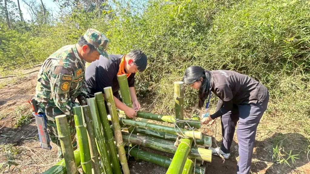 627021244 26160102960260351 858135819234569314 n 1