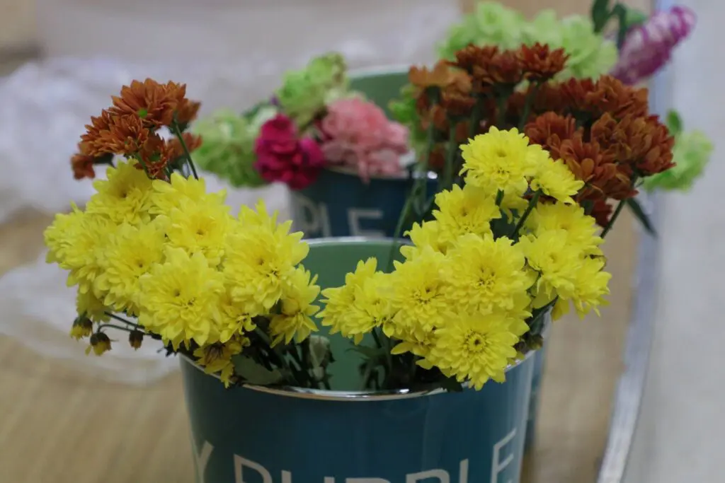 635283608 1367973921799426 768793