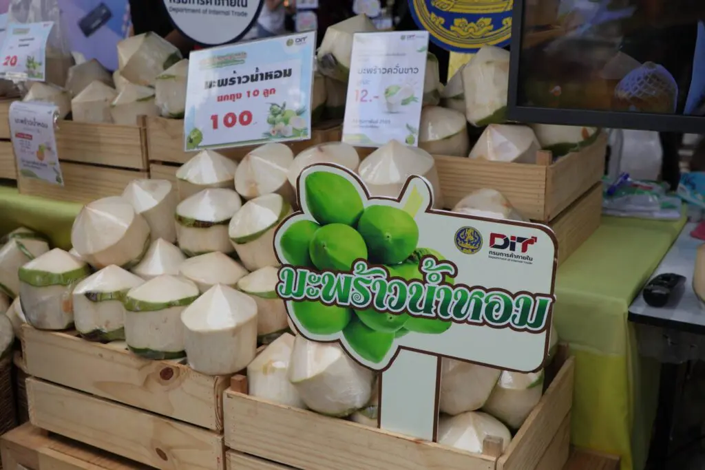 641676490 1369326174998669 4736250937267742484 n