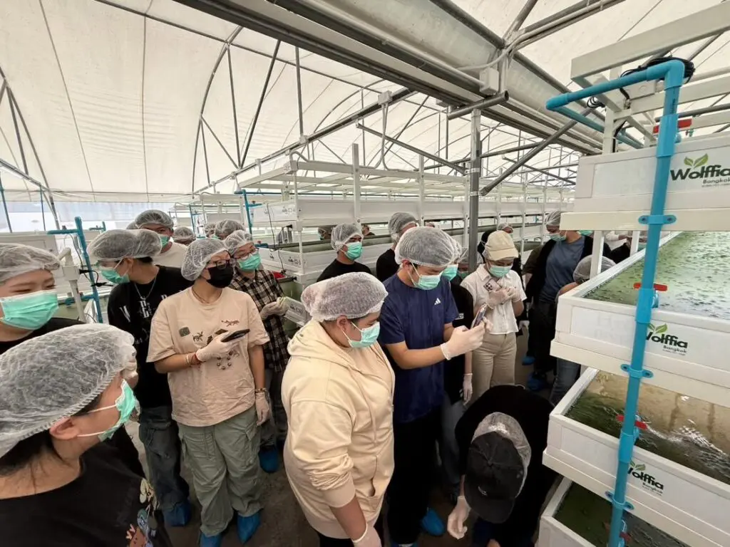 643765056 1360632316104990 8237134893170877159 n