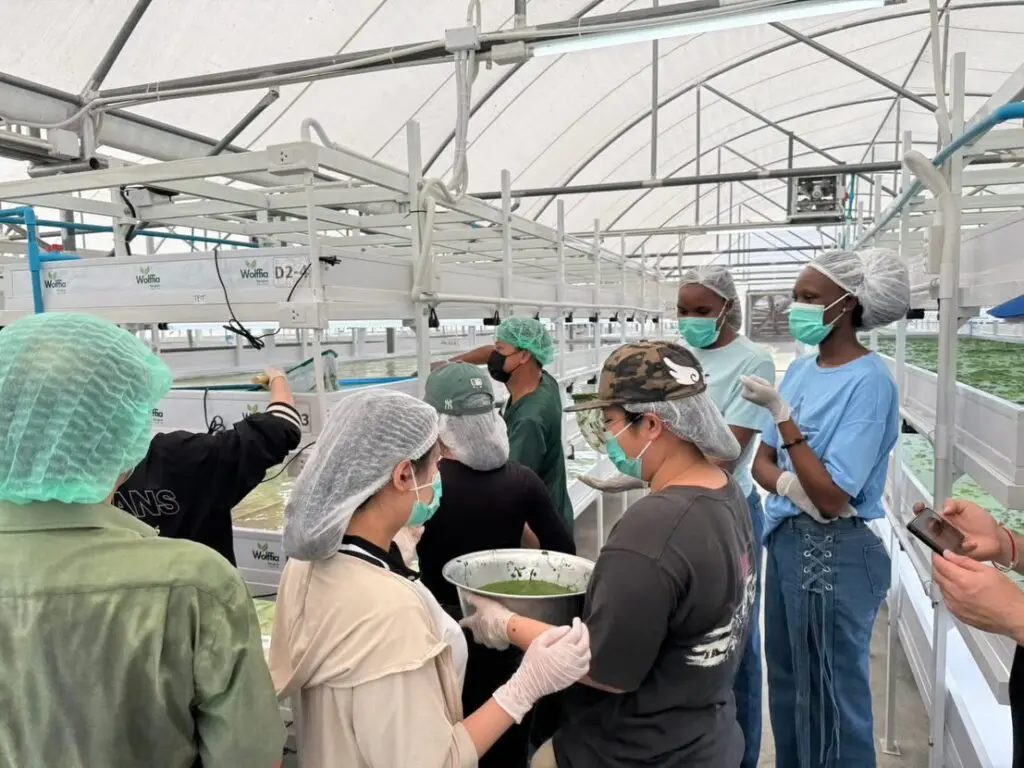 645226492 1360632306104991 4260833923142303685 n