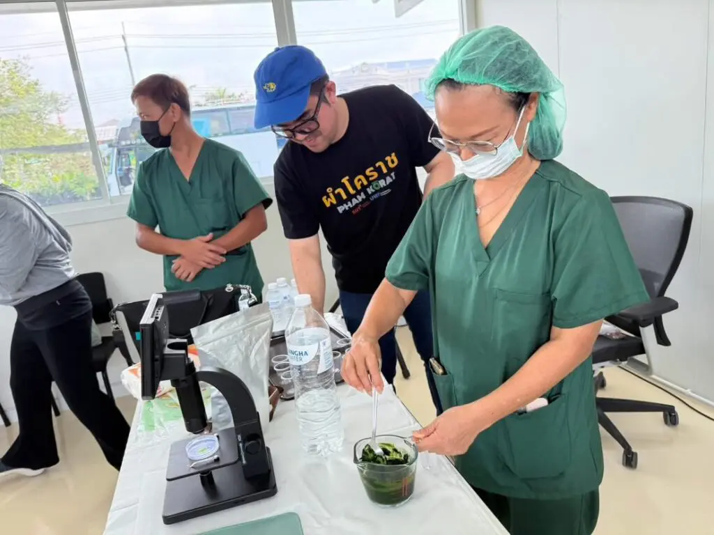 645509353 1360632329438322 452883942489250505 n