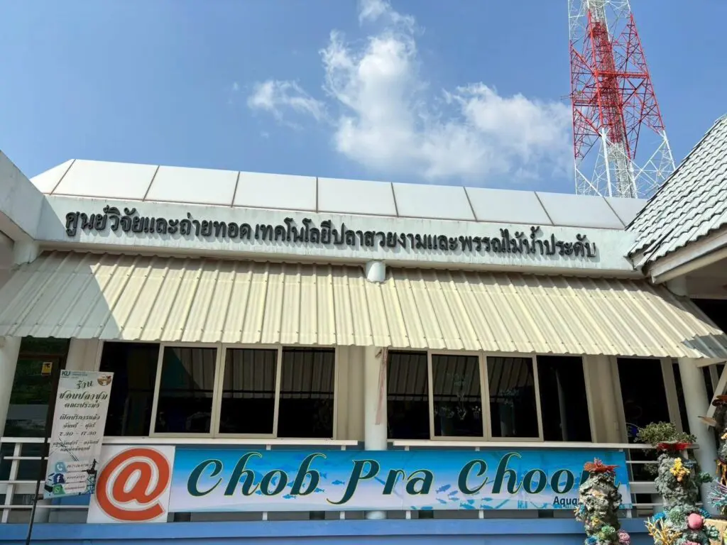 657216549 1382624170549393 3799270050107384178 n