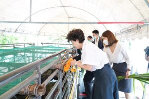 20220914164538bEasCt9