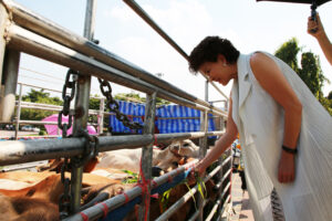 201709211647103Wjkf4r