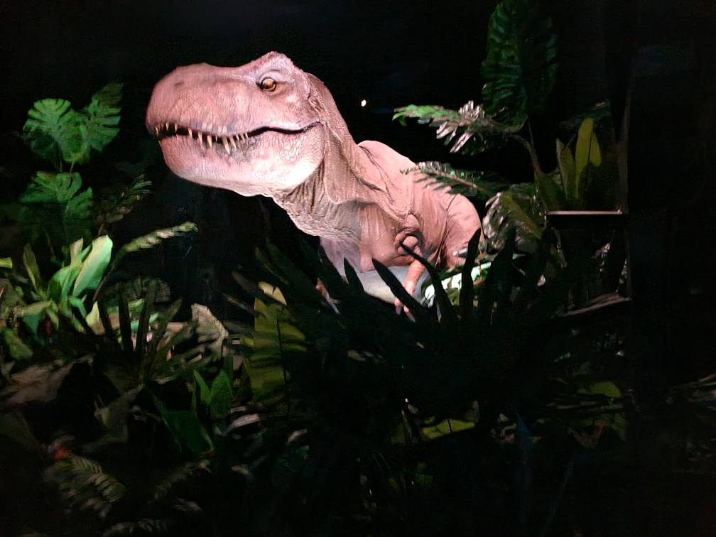 552172069 1307993234671204 4574596955983519455 n