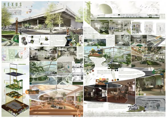 630610831 1354523786712169 4885651850931800856 n